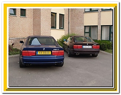 BMW 850 CI (M73)_24