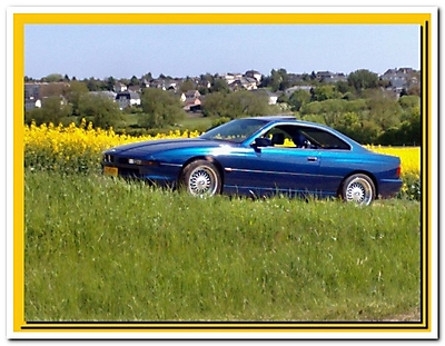 BMW 850 CI (M73)_4