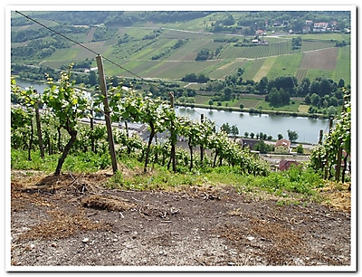 Moselle 2009_12