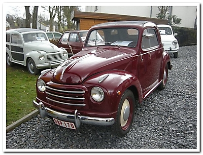 Ivo