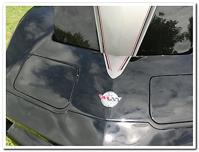 Straimont 2013_251