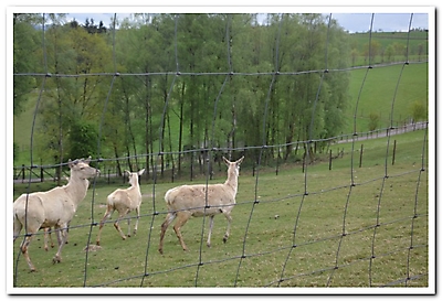 Printemps 2014_109