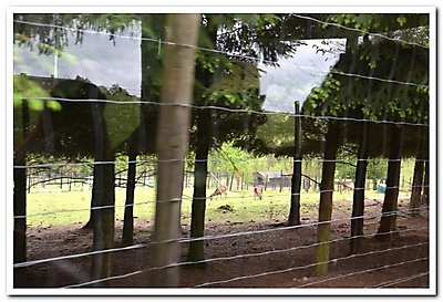 Printemps 2014_110
