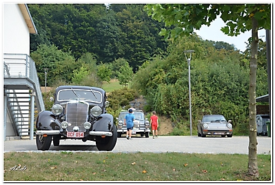 Heinstert 2015_8