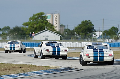 Sebring_37